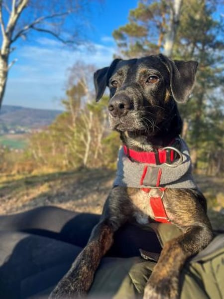 Aktive Pina wartet in 52385 Nideggen