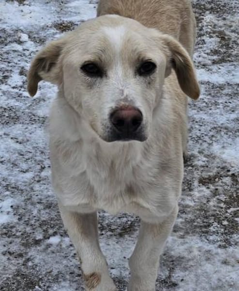 Kleiner Maxi sucht sein großes Glück