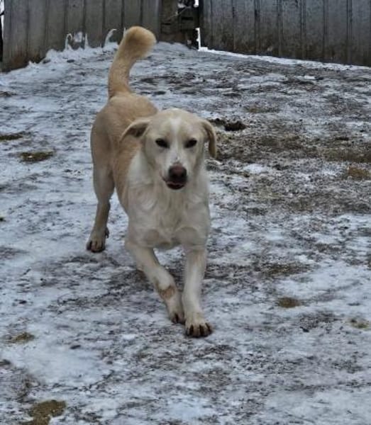 Kleiner Maxi sucht sein großes Glück