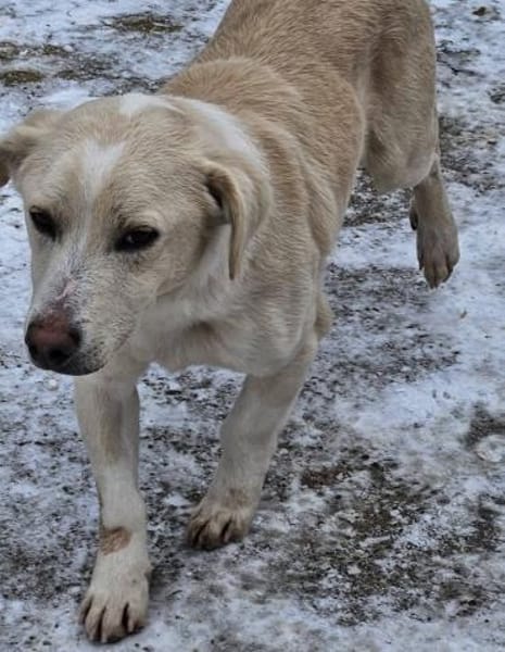 Kleiner Maxi sucht sein großes Glück