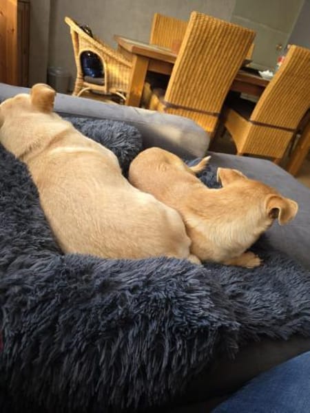 Andrea - ein Sonnenschein (I)