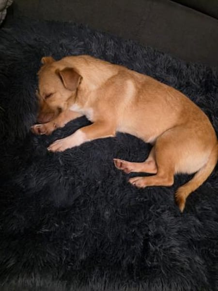 Andrea - ein Sonnenschein (I)