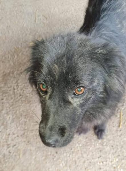 Hübsche Vicky sucht ihre Familie