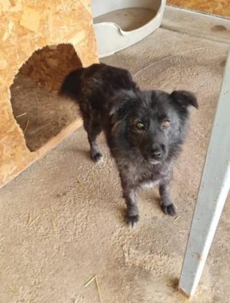 Hübsche Vicky sucht ihre Familie