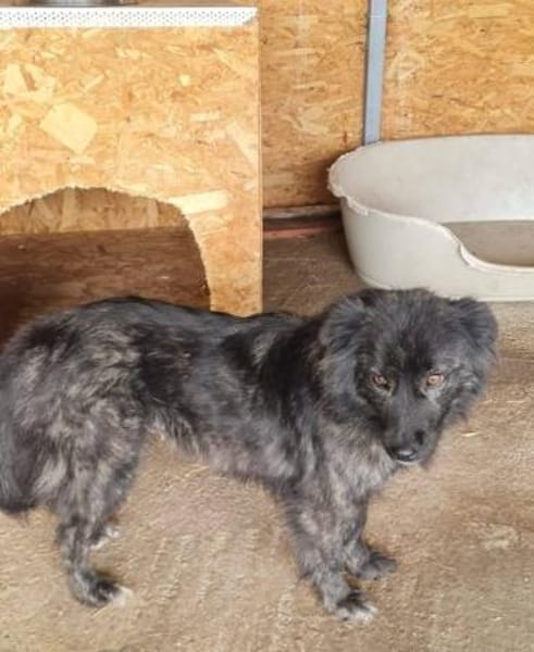 Hübsche Vicky sucht ihre Familie