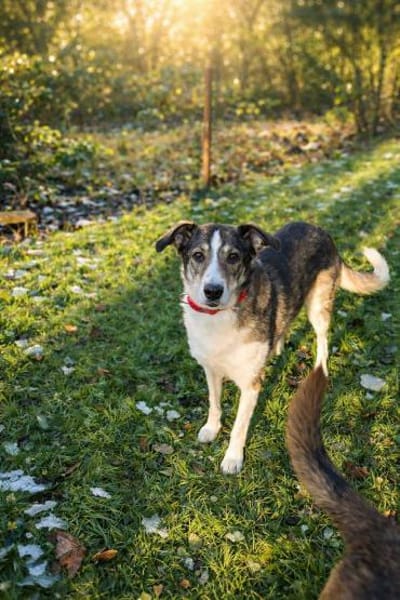 wunderschöne Jill sucht dich🍀