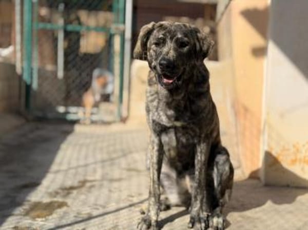 Chanel - das zarte Blümchen