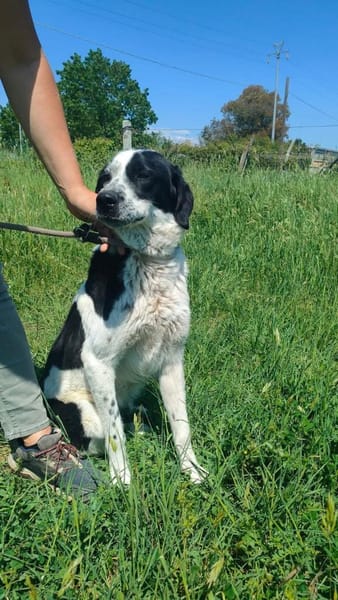 REZ 💙💙💙 ruhig und ausgeglichen