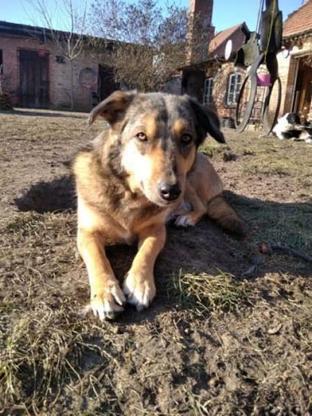 MANNU * liebt Haus Hof und ihre Menschen