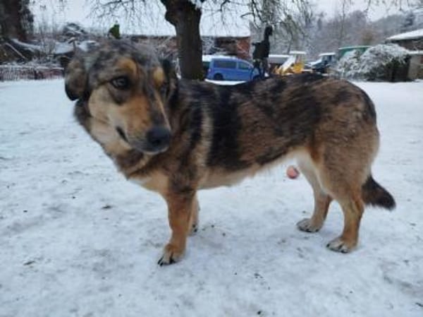 MANNU * liebt Haus Hof und ihre Menschen