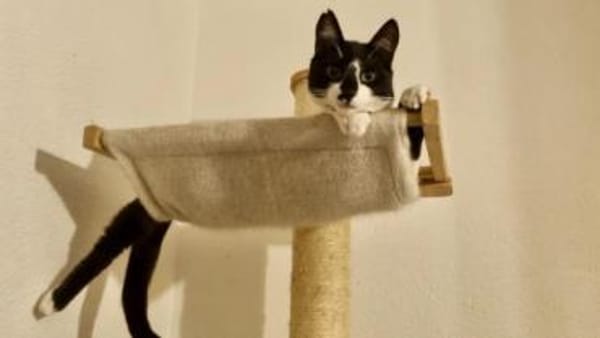 Iraklis, menschenbezogener Abenteurer, c