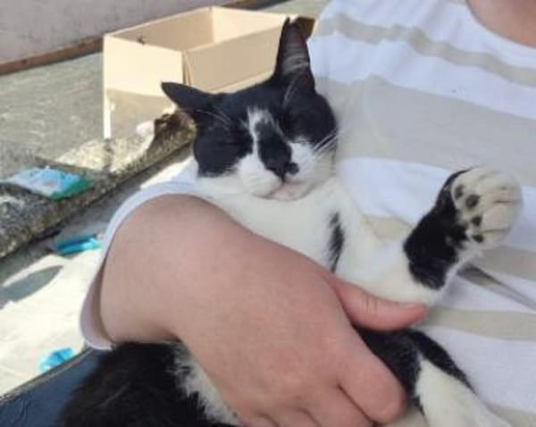 Iraklis, menschenbezogener Abenteurer, c