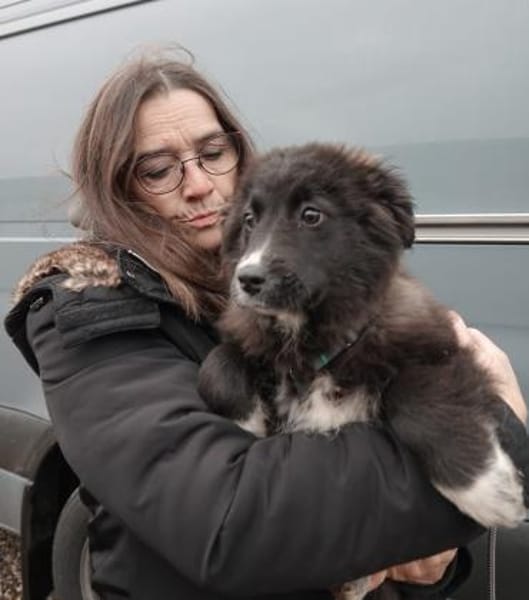 Mable sucht ihr Zuhause