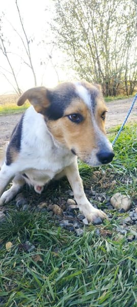 Monty zeigt ihm das Menschen gut sind