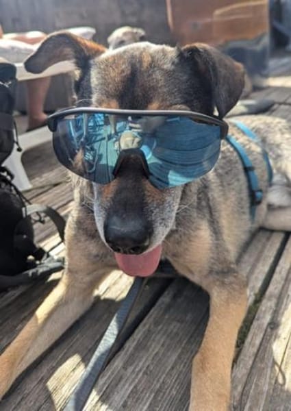 AKHIRO * angenehmer ruhiger Begleiter