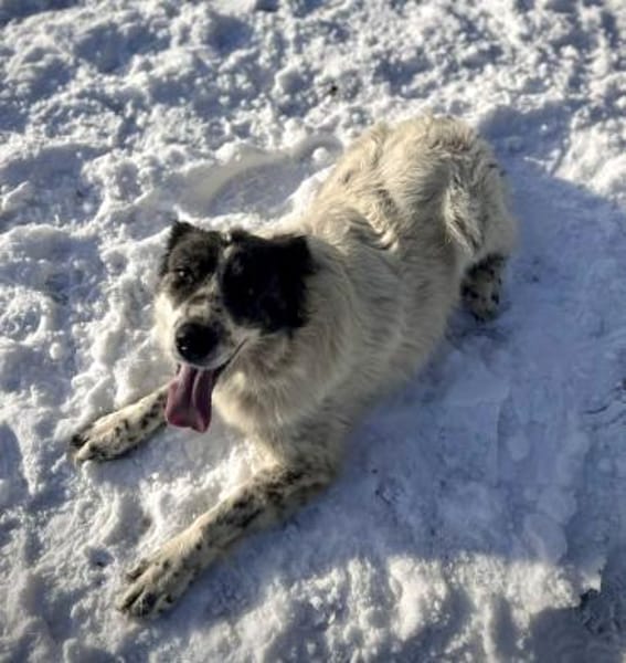 Dankbare Hedwig sucht ihre Menschen