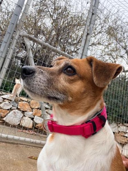 Sumi sucht nochmal das Glück