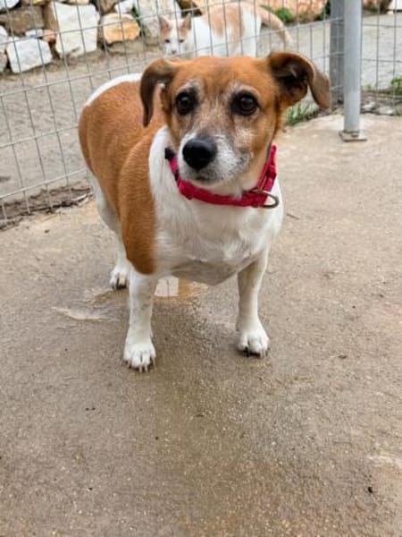 Sumi sucht nochmal das Glück