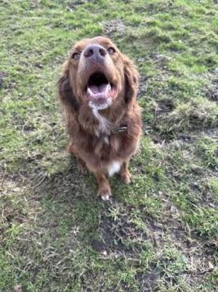 Milow - ich brauche Führung