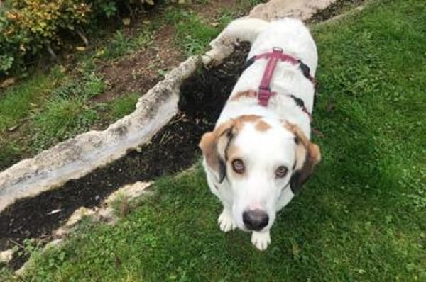 Frank -  auf PS in 53947 Nettersheim