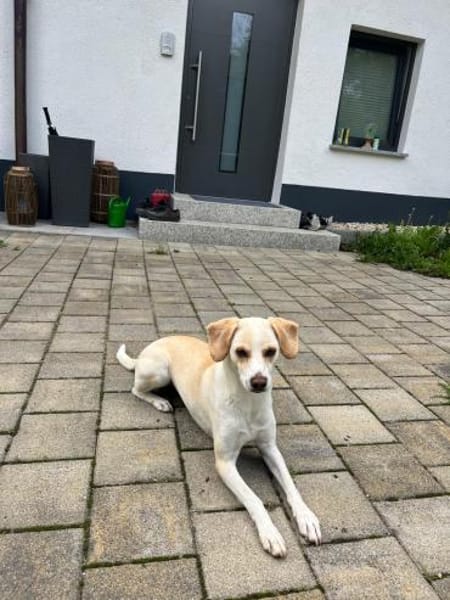 Luna, sportlich und verspielt