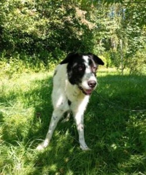 Wastel nun Toni 70 cm (Pflegestelle)