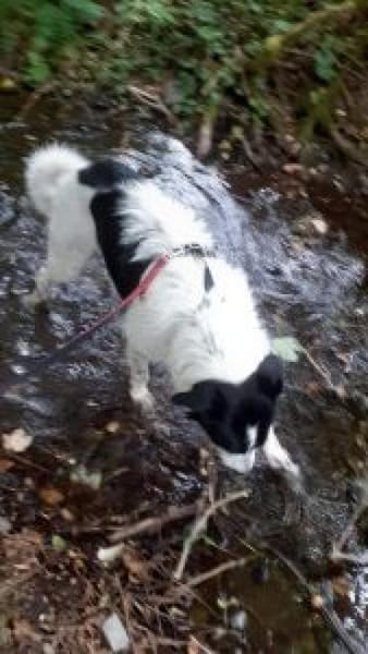 Wastel nun Toni 70 cm (Pflegestelle)