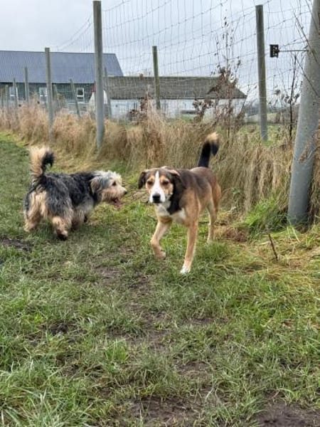 Brösel sucht seine Familie