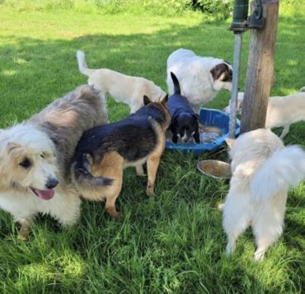 Lena sucht ihre Familie