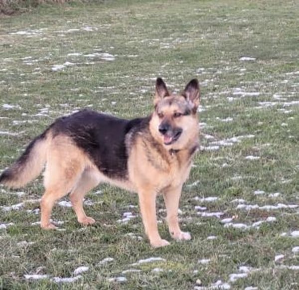 Lena sucht ihre Familie