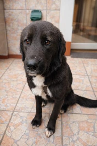 Liebe Klika sucht ihre Familie