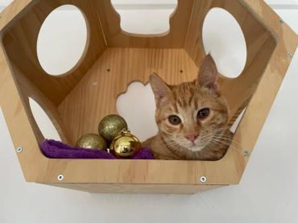 Jao der kleine Mann sucht Dich