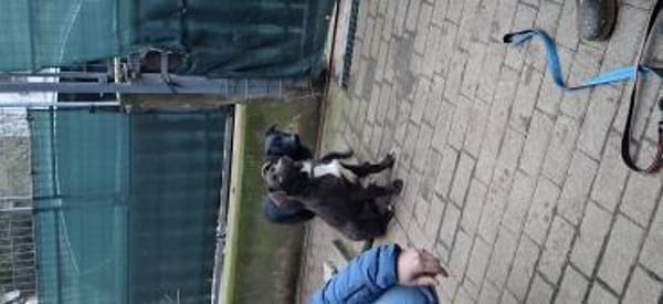 Barney sucht seine Familie