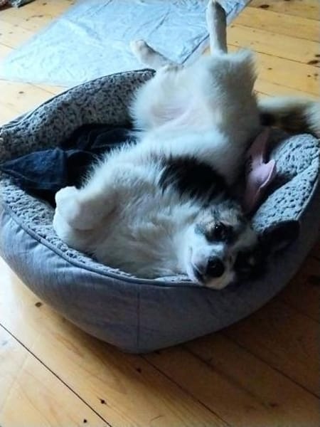 Pünktchen- braucht viel Vertrauen