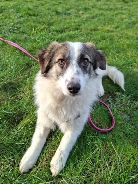 Pünktchen- braucht viel Vertrauen