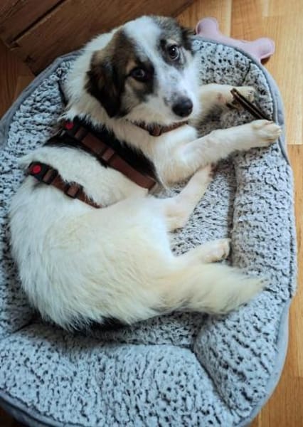 Pünktchen- braucht viel Vertrauen