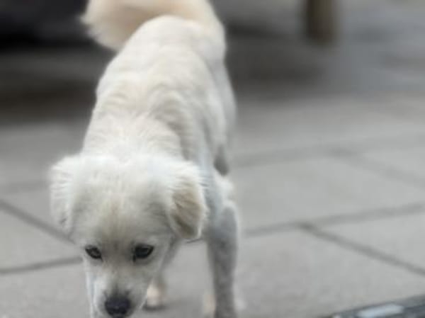 Unkompliziert und absolut süß💕