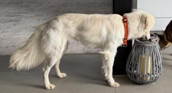 Unkompliziert und absolut süß💕