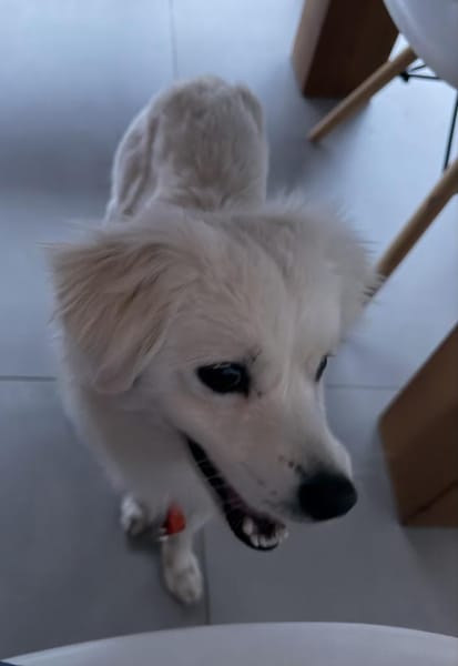 Unkompliziert und absolut süß💕