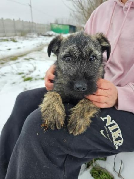 Cleo 5 mon. Momentan 35 cm