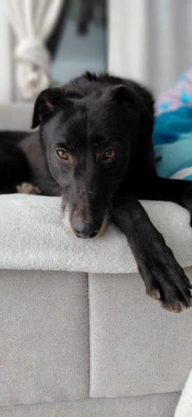 sehr lieber Rimo auf PS in 86637