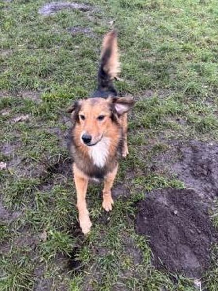 Willi sucht seine Menschen