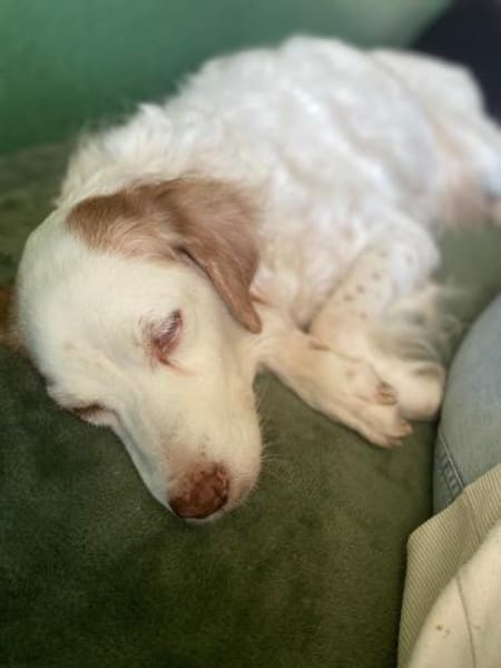 DAFNE 💜💜💜 sucht Altersruhesitz