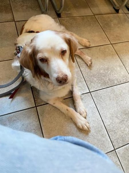 DAFNE 💜💜💜 sucht Altersruhesitz