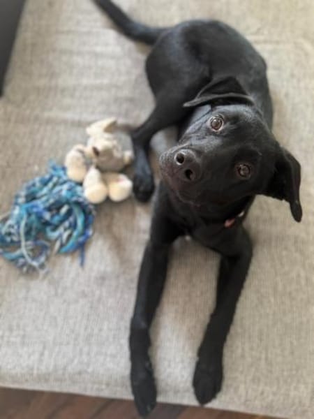 MILO - am liebsten draußen beschäftigen