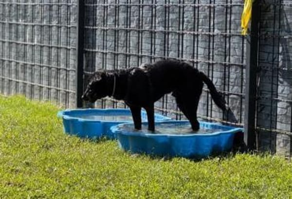 MILO - am liebsten draußen beschäftigen