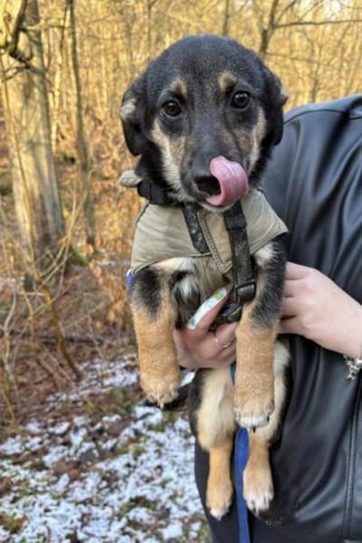 Elke 💗 wartet in 45259 Essen