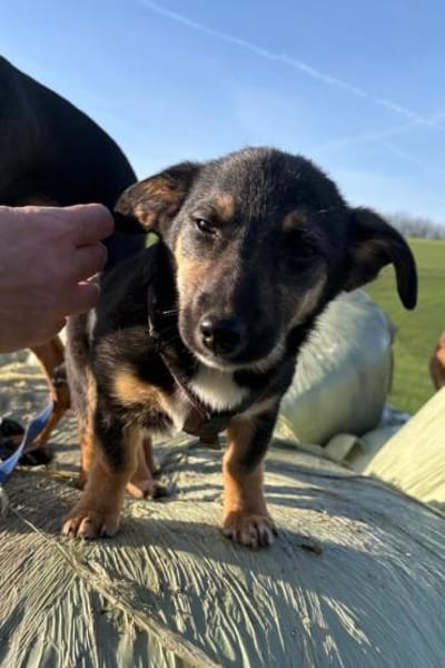 Elke 💗 wartet in 45259 Essen