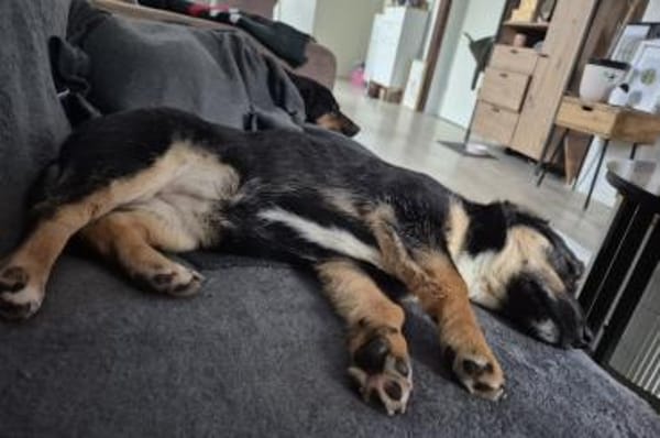 Elke 💗 wartet in 45259 Essen