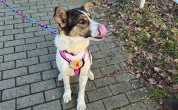 Wer schenkt der hübschen Kiwi sein Herz?